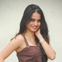 Actress Sheena Shahabadi latest Photos | Picture 46639